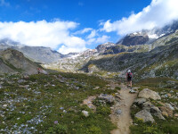 Le chemin vers le lac